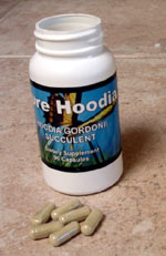 Hoodia.jpg