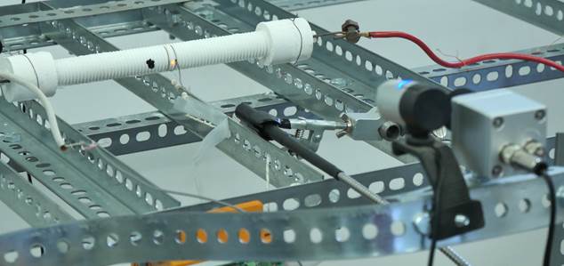 Datei:Parkhomov Dog Bone.jpg