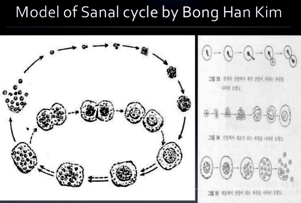 Datei:Bong Han Sanal Zyklus.jpg