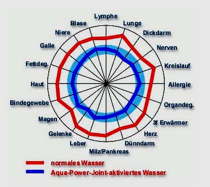 Datei:Gutachten Romana Ull.jpg