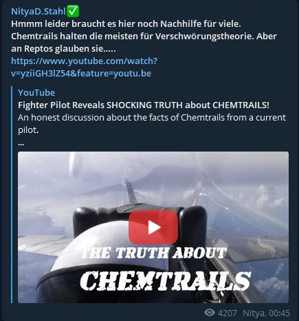 Datei:Nitya Doreen Stahl Zitate 7 Chemtrail 2021.jpg