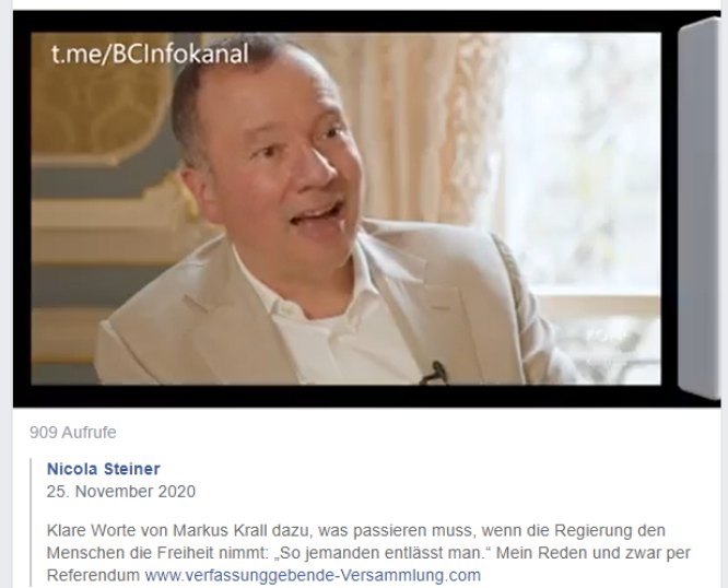 Datei:Nicola Steiner Verfassunggebende Versammlung 2020.jpg