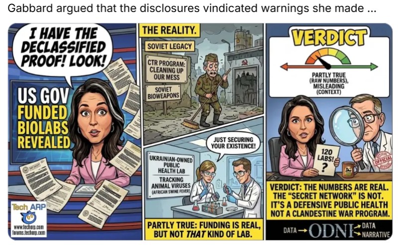 Datei:Biowaffen Ukraine Tulsi Gabbard 2026.jpg