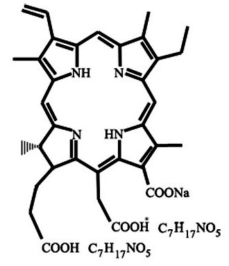 Datei:Chlorin Borisov.jpg