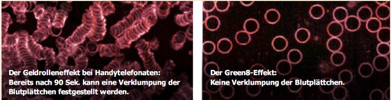 Datei:Bauer Biotec Geldrollenbildung.jpg