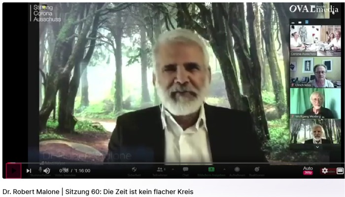 Datei:Robert Malone Reiner Fuellmich Ullrich Mies Wolfgang Wodarg.jpg