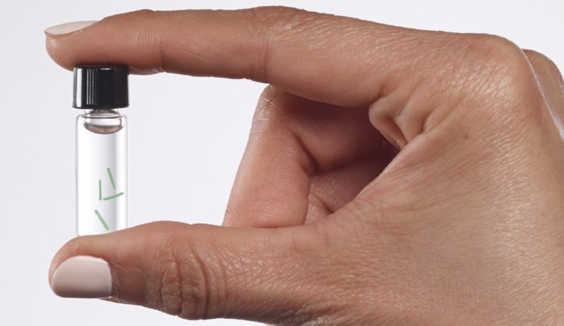 Datei:Profusa Darpa Gel.jpg