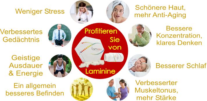 Datei:Laminine ist zellnahrung.jpg