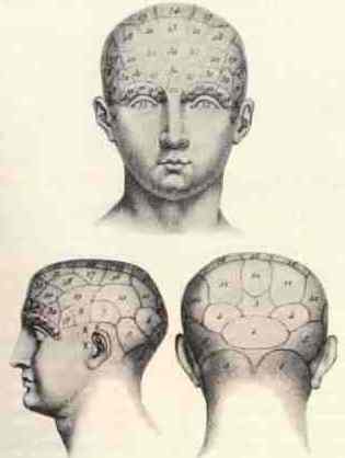 Phrenologie Psiram