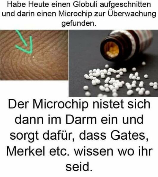 Datei:Globuli Microchip.jpg