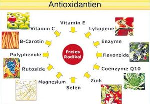 Antioxidantien-620x441.jpg