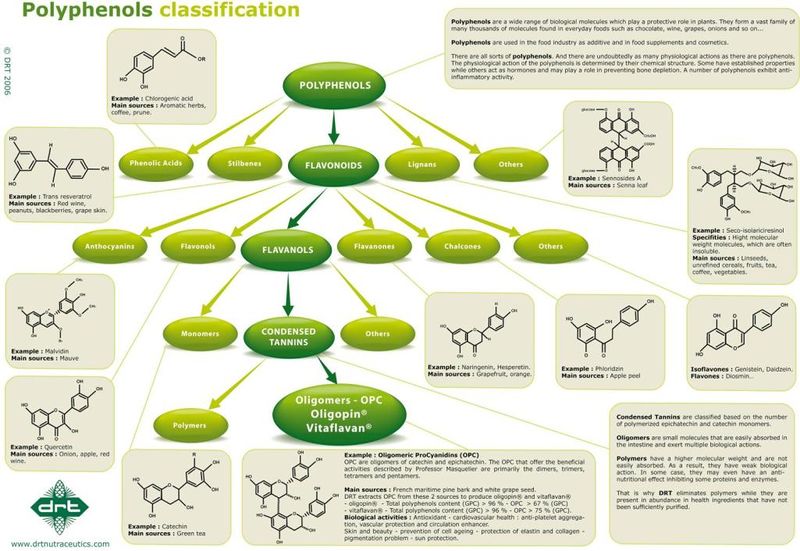 Datei:Polyphenol-classification--element69.jpg