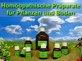 Pflanzenhomoepathie.jpg