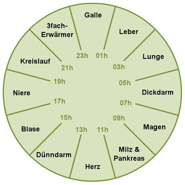 Datei:Organuhr.png