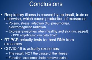 Andrew Kaufman Corona virus conclusions.jpg