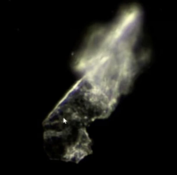 Datei:Maria Hubmer-Mogg Artefakt-4.jpg