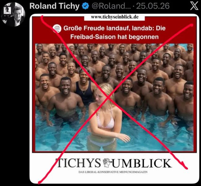 Datei:Tichys Einblick 2026.jpg