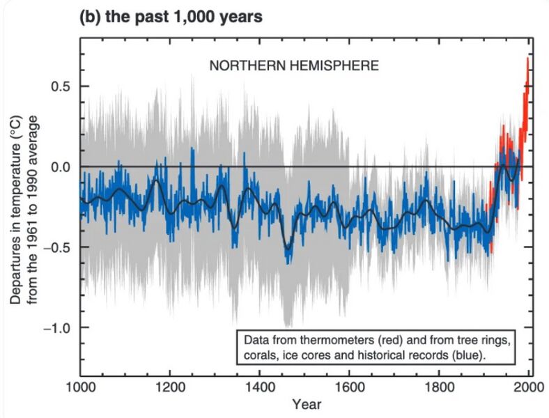 Datei:Hockeystick Klima.jpg