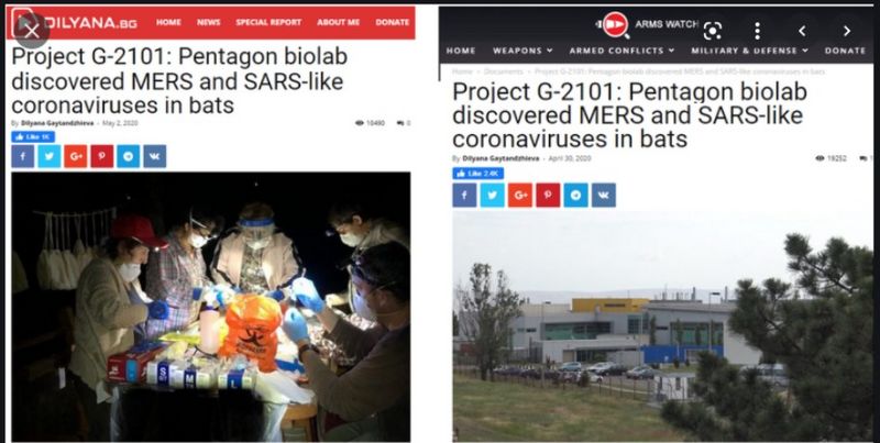 Datei:Dilyana Gaytandzhieva Coronavirus.jpg