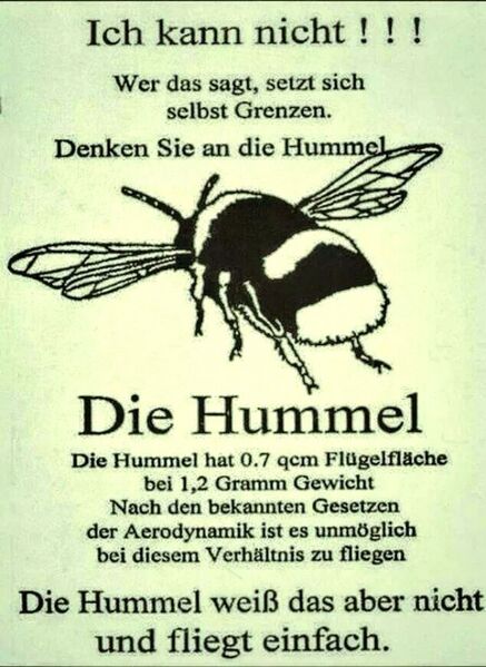 Datei:Hummel Paradoxon.jpg