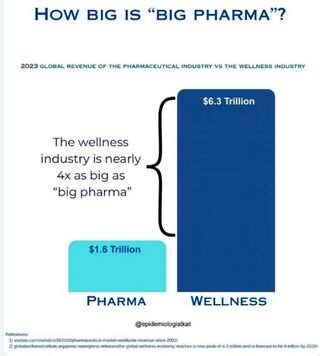 Wellness Big Pharma.jpg