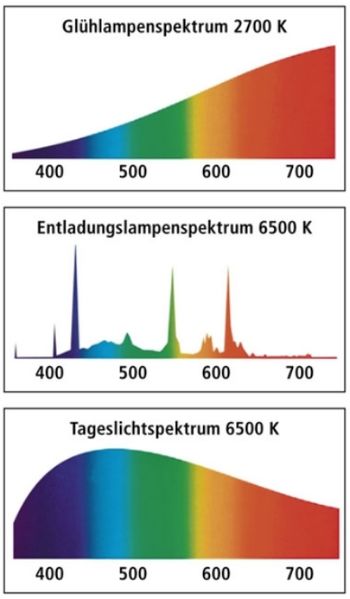 Datei:Alexander Wunsch Lichtspektrum.jpg