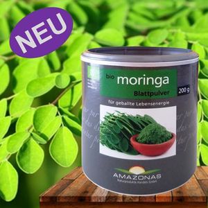Moringa oleifera PKM1 Import aus Indien Meerrettichbaum 