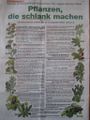 11 Pflanzen Werbung.jpg