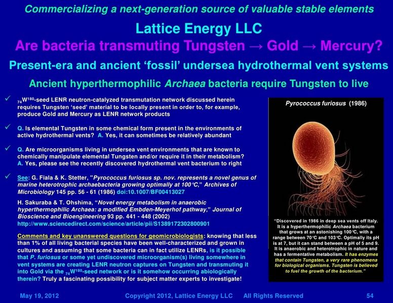 Datei:BioTransmut Lattice.jpg