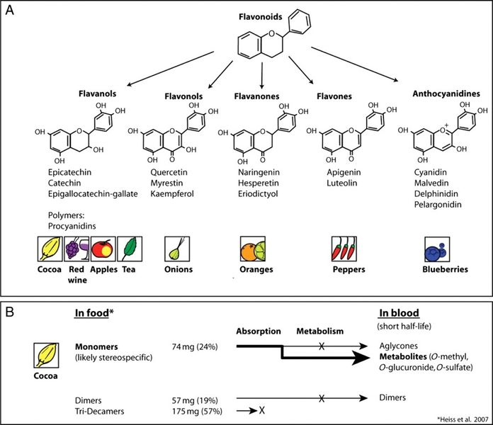 Datei:F1 large 1.jpg