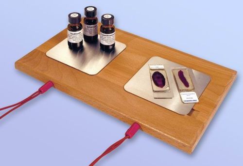 Fichier:Clark Plateau pour Zapping à Plaques.jpg