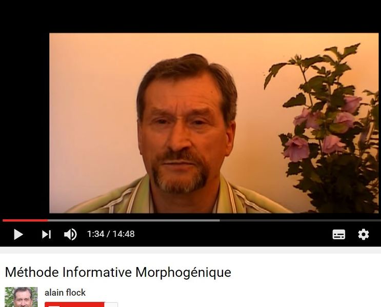 Fichier:Alain Flock.JPG