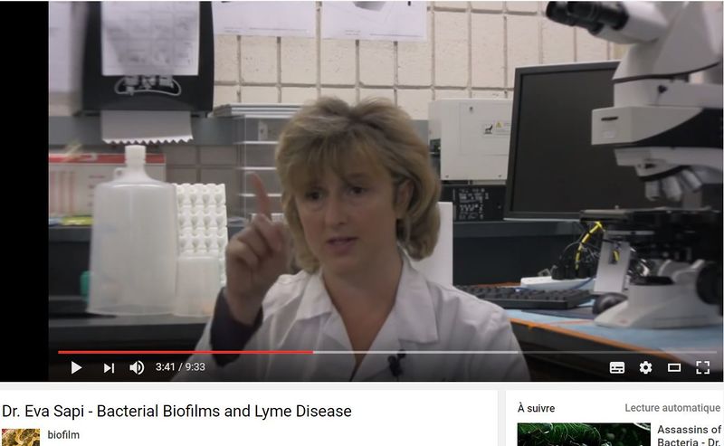 Fichier:Eva Sapi.JPG