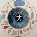 Iridologie.gif