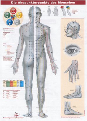 Akupunktur1.jpg